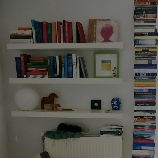 boekenkast-anne